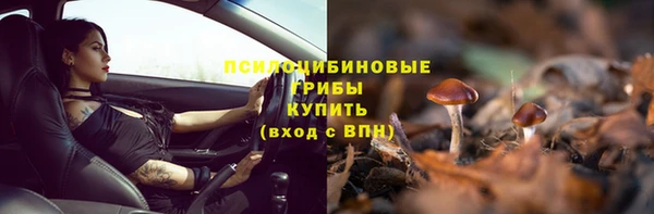 каннабис Новокубанск