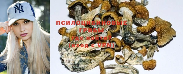 каннабис Новокубанск