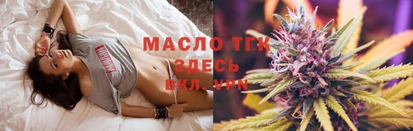 гидра Новодвинск