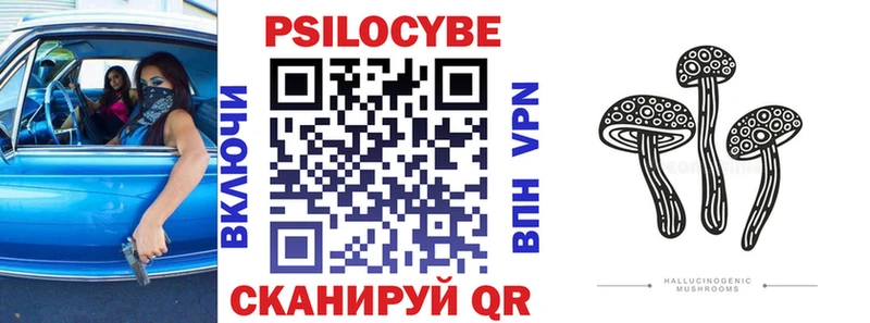 Псилоцибиновые грибы Psilocybe  Николаевск-на-Амуре 